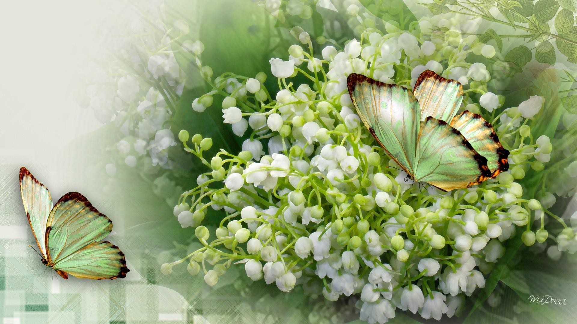 Giảm giá Hoa linh lan lụa chụp ảnh sản phẩm decor trang trí hoa chuông   BeeCost