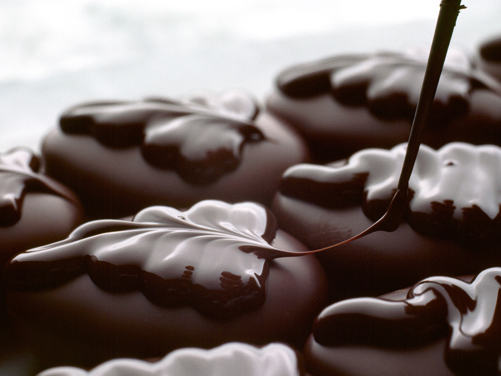 Sôcôla đen- thực phẩm hàng đầu dành cho não bộ