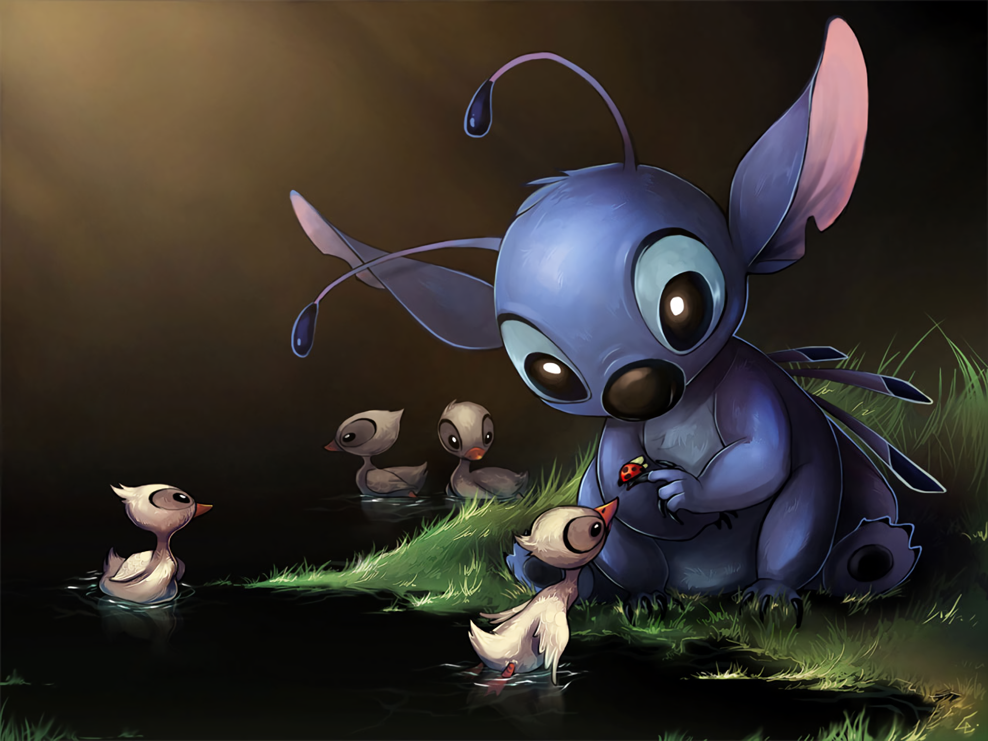 Stitch  Disney hình nền 10815664  fanpop
