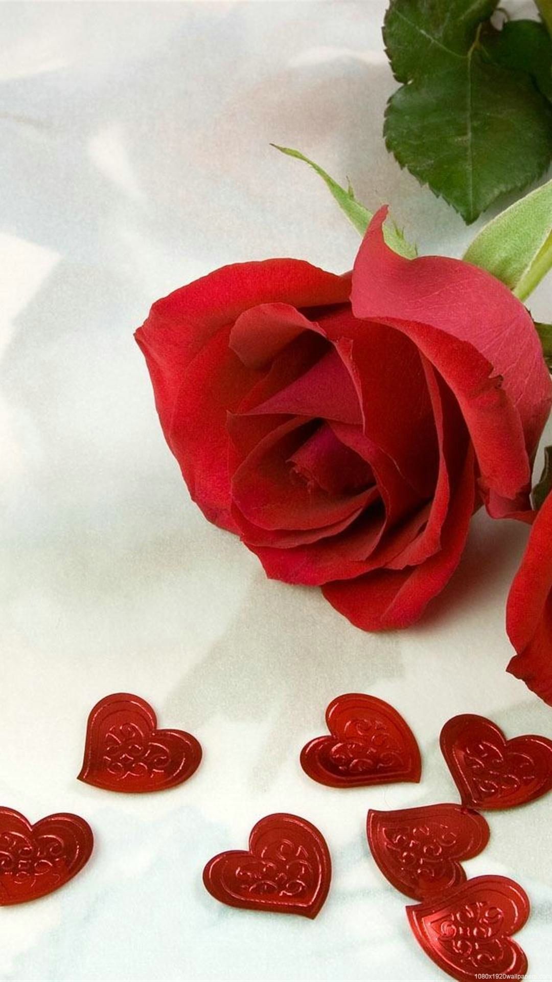Hình nền hoa hồng tình yêu lãng mạn cho điện thoại