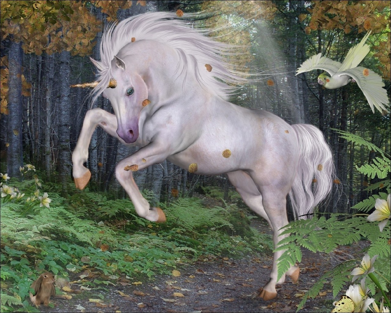 hinh nen ky lan unicorn 4