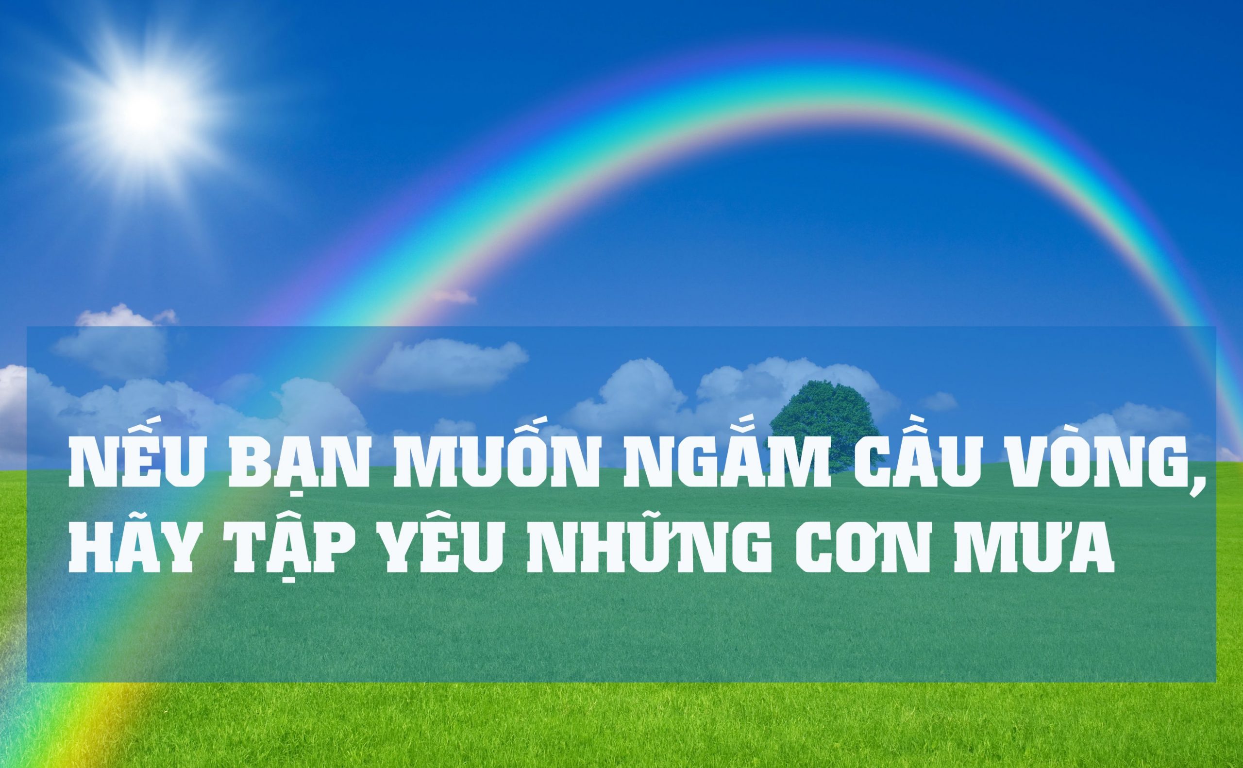 cau noi hay ve cuoc song 29 scaled - wallpaper free download