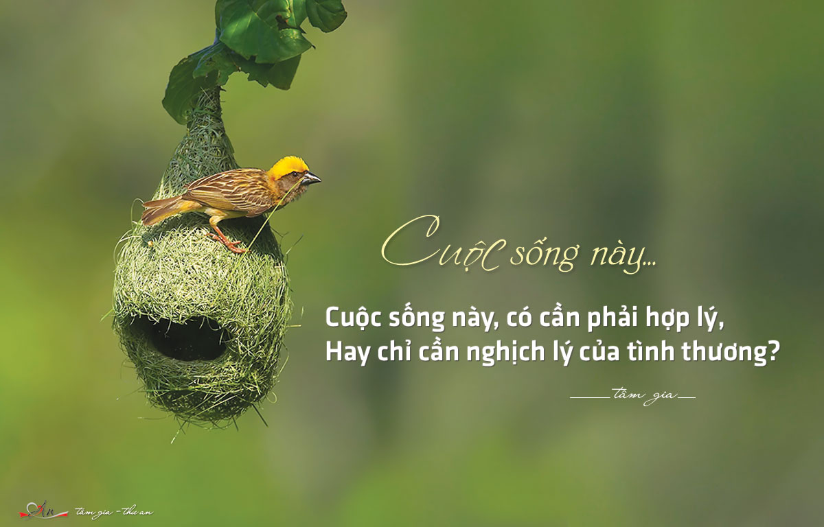 cau noi hay ve cuoc song 40 - wallpaper free download
